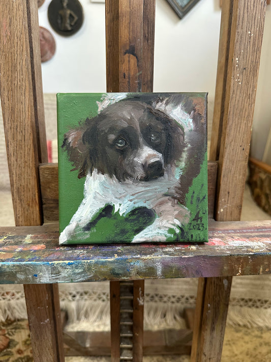 Cățelul din Dobrin