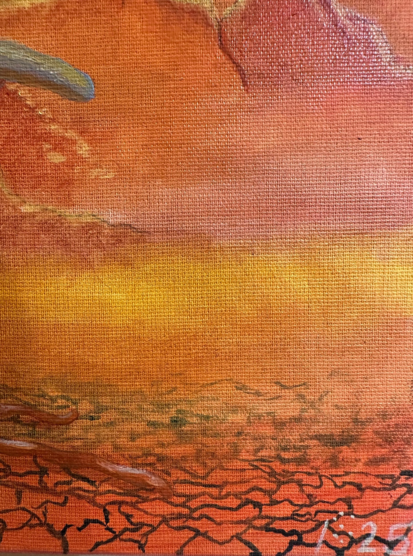 Suprafața lui Proxima B
